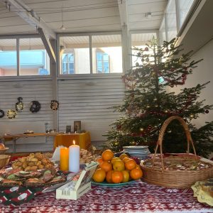 Ziemas-Saulgriezi