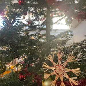 Ziemas-Saulgriezi