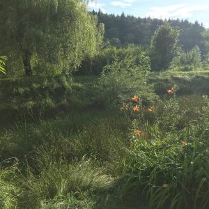 Jāņi 2019